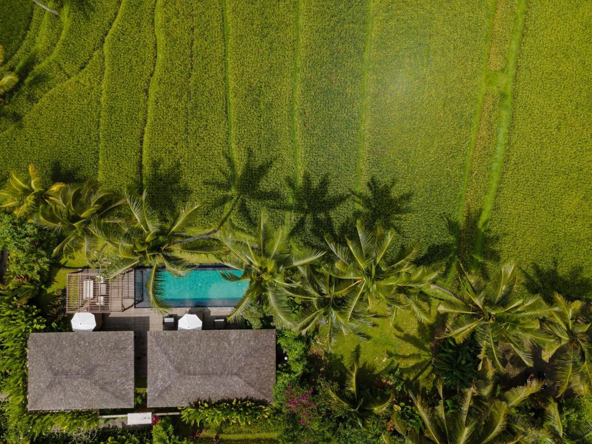 Kappa Senses Ubud المظهر الخارجي الصورة
