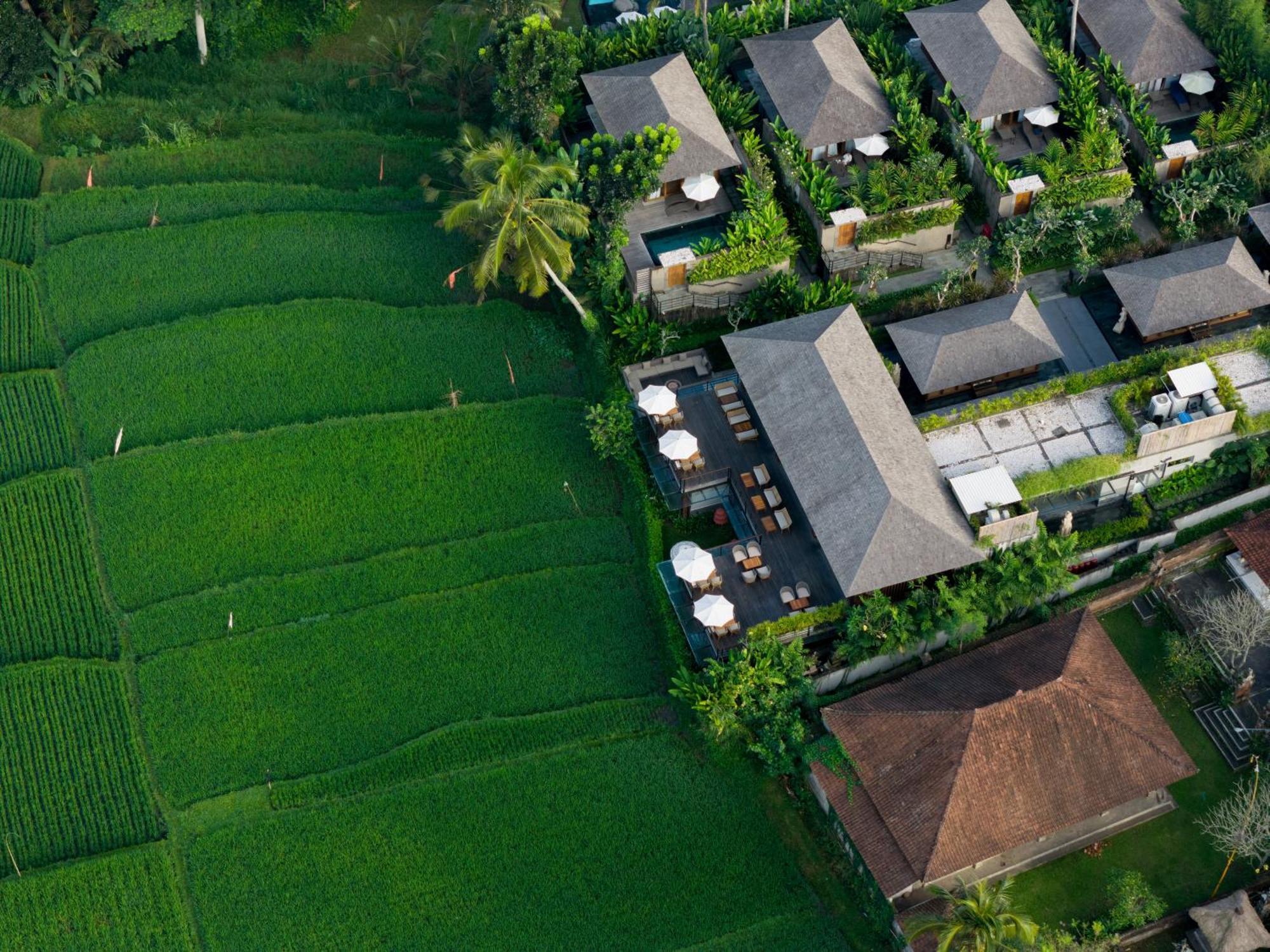 Kappa Senses Ubud المظهر الخارجي الصورة